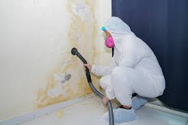 Best Mold Odor Removal Services  in Pequot Lakes, MN